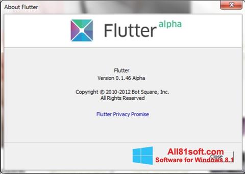 Capture d'écran Flutter pour Windows 8.1
