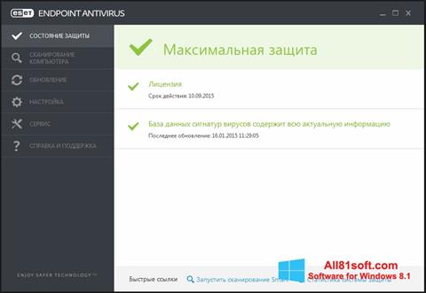 Capture d'écran ESET Endpoint Antivirus pour Windows 8.1
