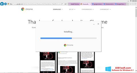 Capture d'écran Google Chrome Offline Installer pour Windows 8.1