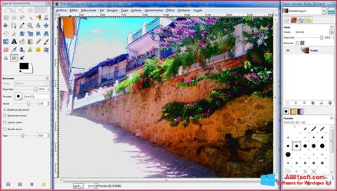 Capture d'écran GIMP pour Windows 8.1