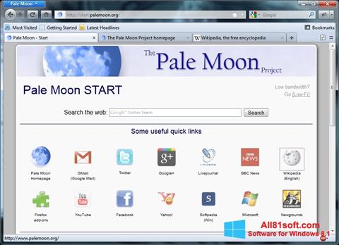 Capture d'écran Pale Moon pour Windows 8.1