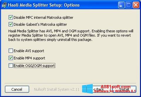 Capture d'écran Haali Media Splitter pour Windows 8.1