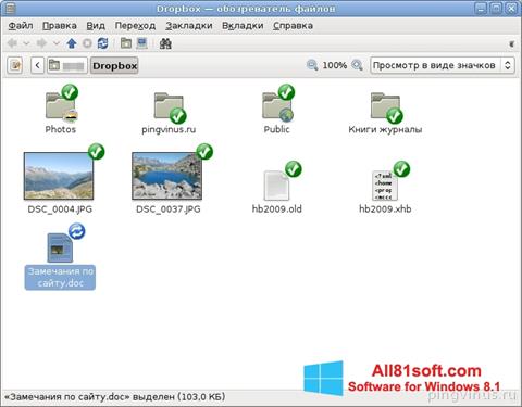 Capture d'écran Dropbox pour Windows 8.1