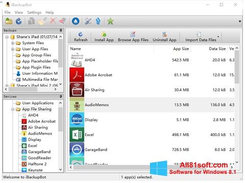 Capture d'écran iBackupBot pour Windows 8.1