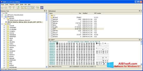 Capture d'écran DMDE pour Windows 8.1