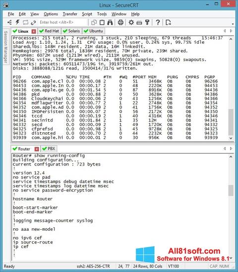 Capture d'écran SecureCRT pour Windows 8.1