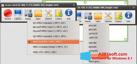 Capture d'écran oCam Screen Recorder pour Windows 8.1