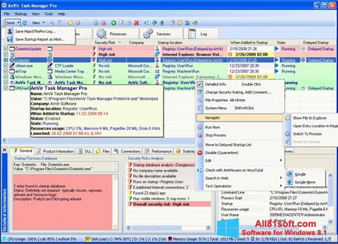 Capture d'écran AnVir Task Manager pour Windows 8.1