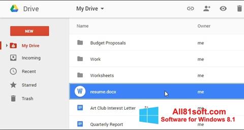 Capture d'écran Google Drive pour Windows 8.1