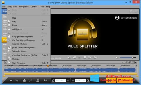 Capture d'écran SolveigMM Video Splitter pour Windows 8.1