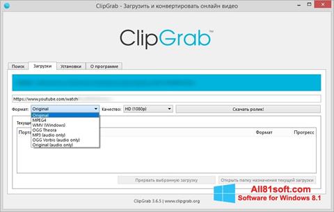 Capture d'écran ClipGrab pour Windows 8.1