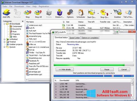 Capture d'écran Internet Download Manager pour Windows 8.1