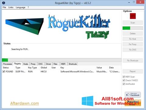 Capture d'écran RogueKiller pour Windows 8.1