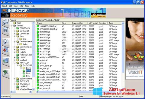 Capture d'écran PC Inspector File Recovery pour Windows 8.1