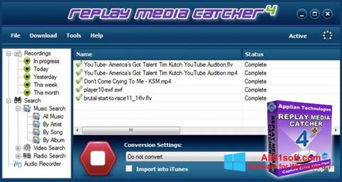 Capture d'écran Replay Media Catcher pour Windows 8.1