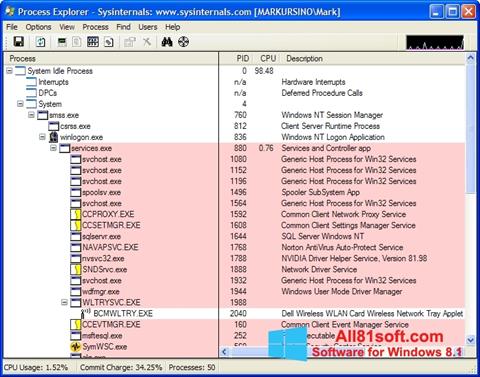 Capture d'écran Process Explorer pour Windows 8.1