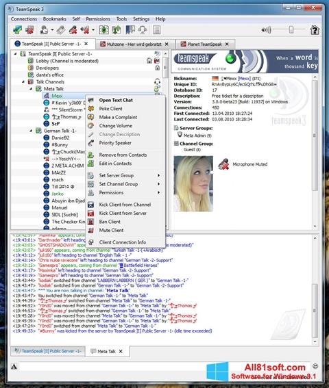 Capture d'écran TeamSpeak pour Windows 8.1