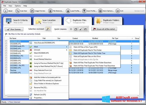 Capture d'écran Duplicate Cleaner pour Windows 8.1