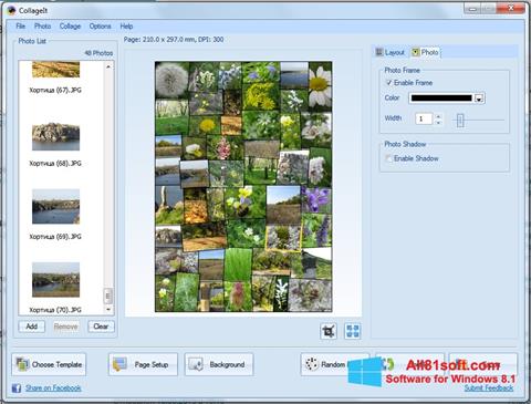 Capture d'écran CollageIt pour Windows 8.1