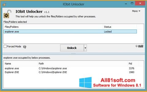 Capture d'écran IObit Unlocker pour Windows 8.1