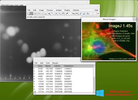 Capture d'écran ImageJ pour Windows 8.1