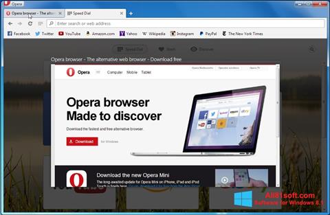 Capture d'écran Opera Developer pour Windows 8.1