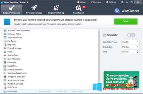 Capture d'écran Wise Registry Cleaner pour Windows 8.1
