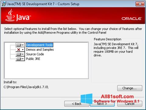 Capture d'écran Java Development Kit pour Windows 8.1